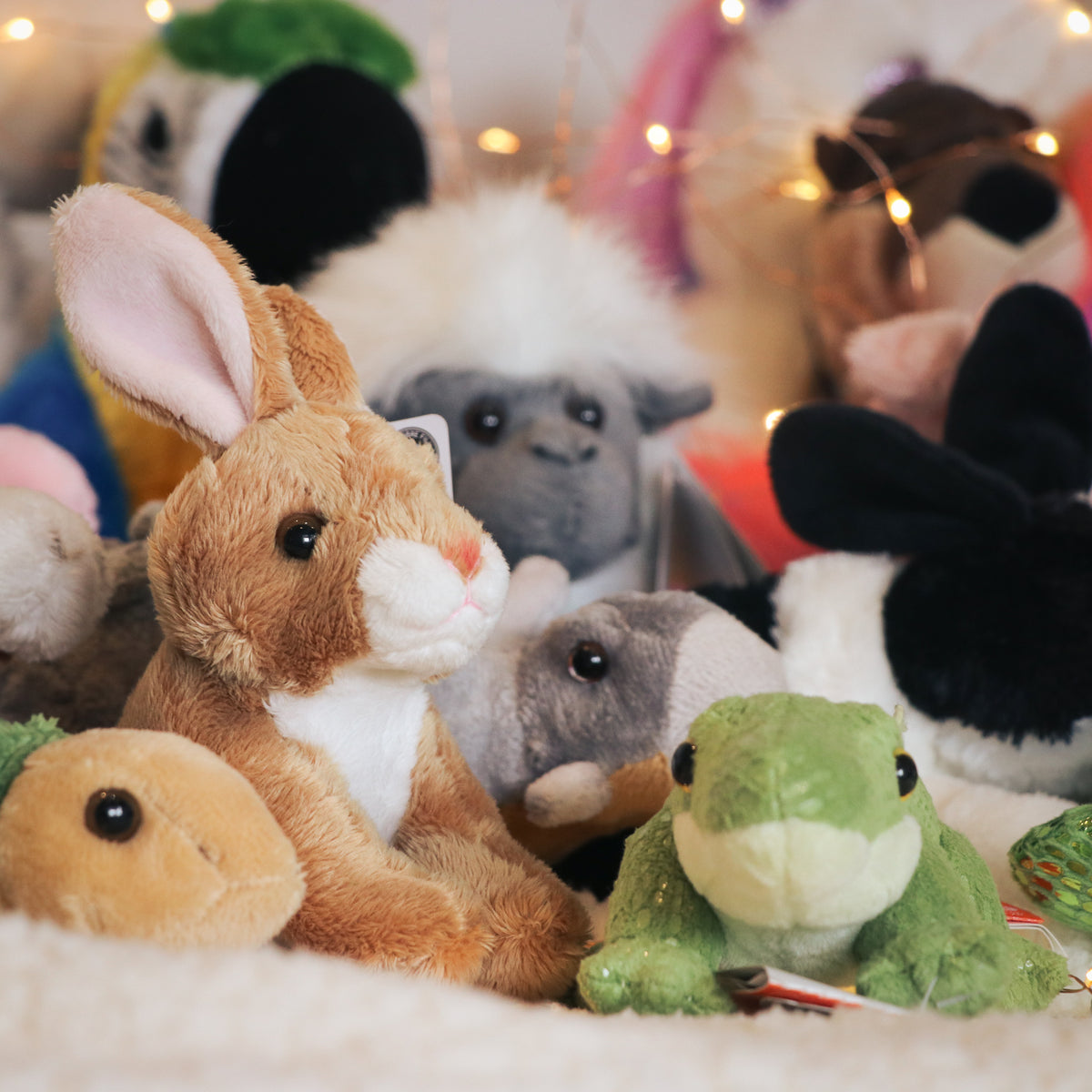 Soft & plush toys for kids Shop online Butterfly Creek gift store