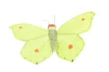 Load image into Gallery viewer, B/Fly Common Brimstone