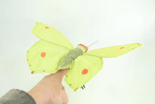 Load image into Gallery viewer, B/Fly Common Brimstone