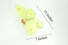 Load image into Gallery viewer, B/Fly Common Brimstone