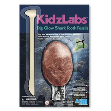 Load image into Gallery viewer, Dig A Glow Shark Tooth Fossil Activity