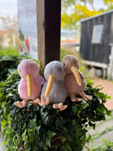 Load image into Gallery viewer, Pastel Pals Rosie Kiwi
