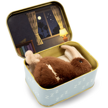 Load image into Gallery viewer, My Sleepy Kiwi Mini Soft Toy
