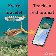 Load image into Gallery viewer, FAHLO Shark Aqua Blue
