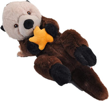 Load image into Gallery viewer, ECOKINS Sea Otter
