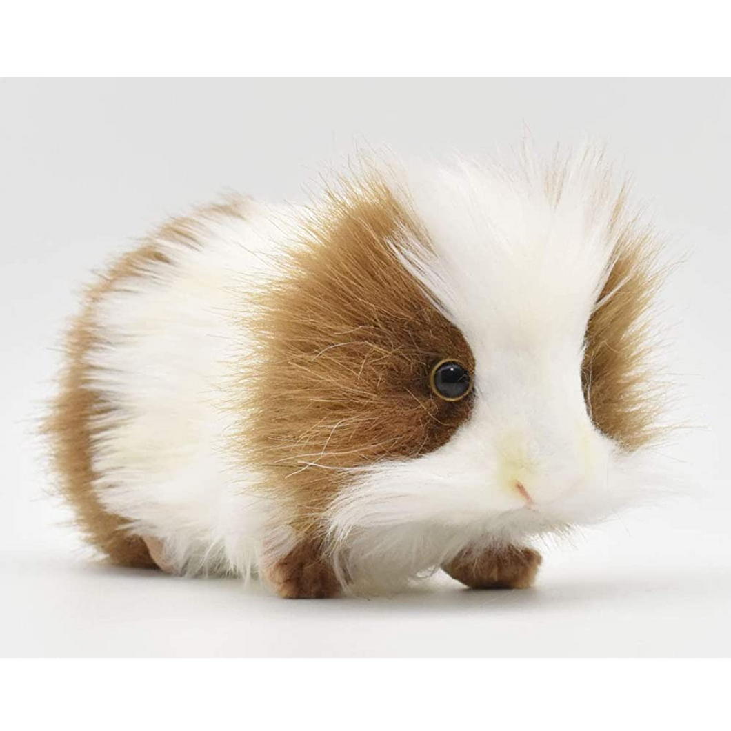 Guinea Pig Soft Toy - Brown/White