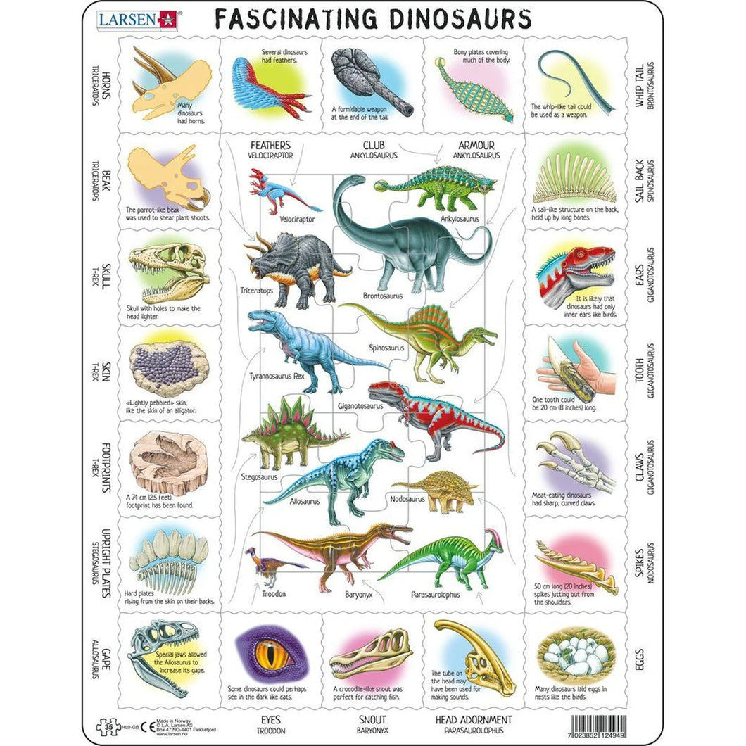 Fascinating Dinosaurs Puzzle
