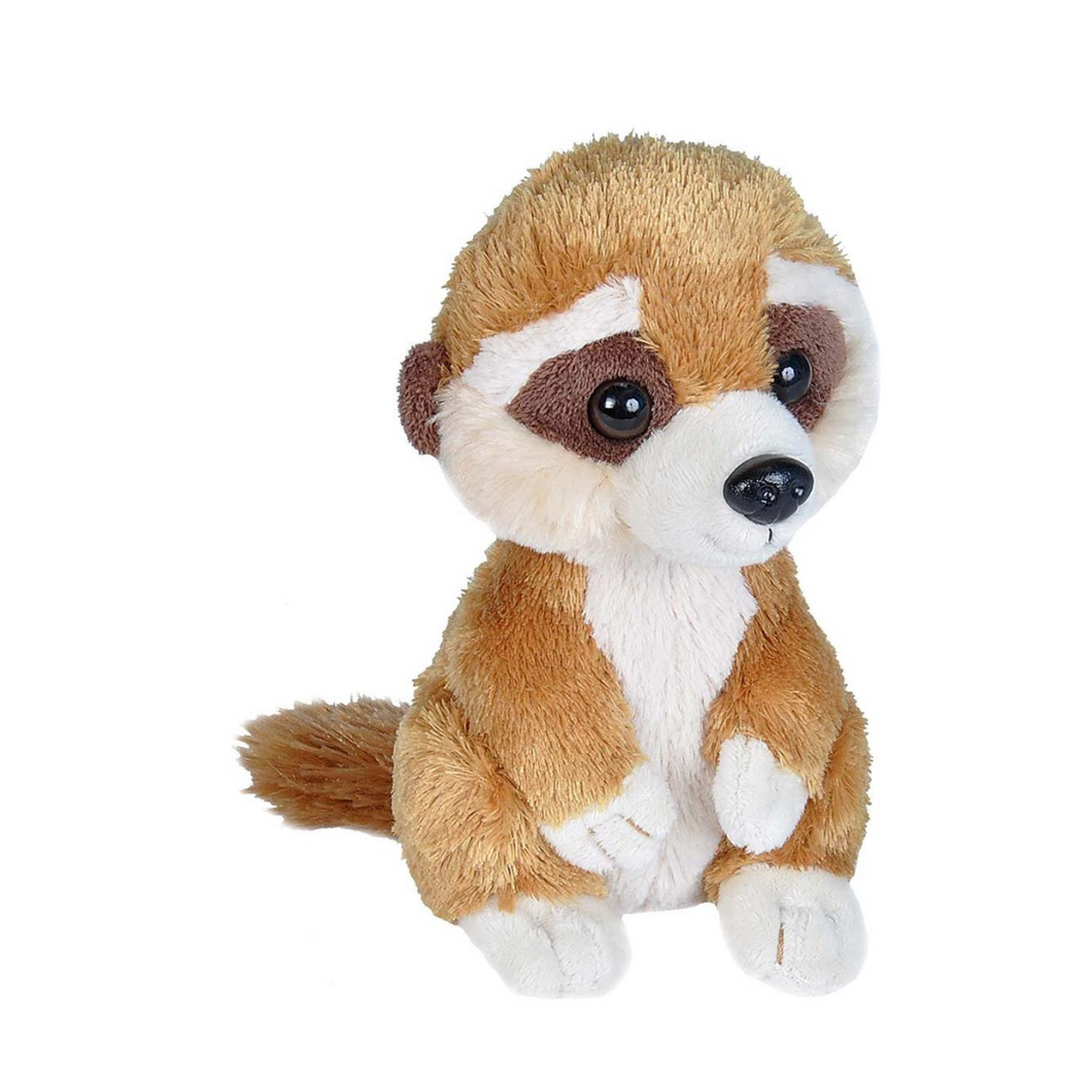 Meerkat cuddly toy shop
