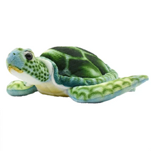 Load image into Gallery viewer, Green Turtle
