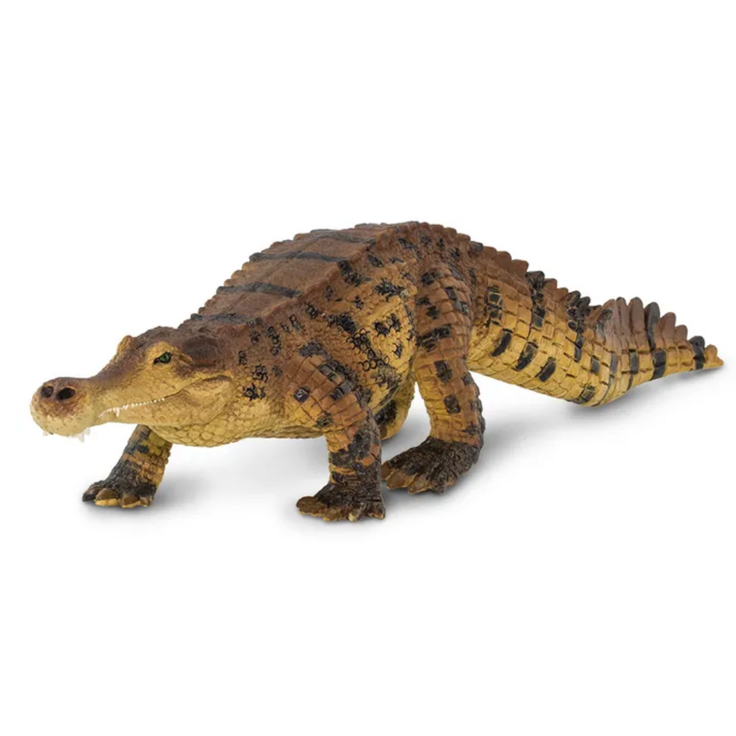 Sarcosuchus Dinosuar Figurine - SAFARI