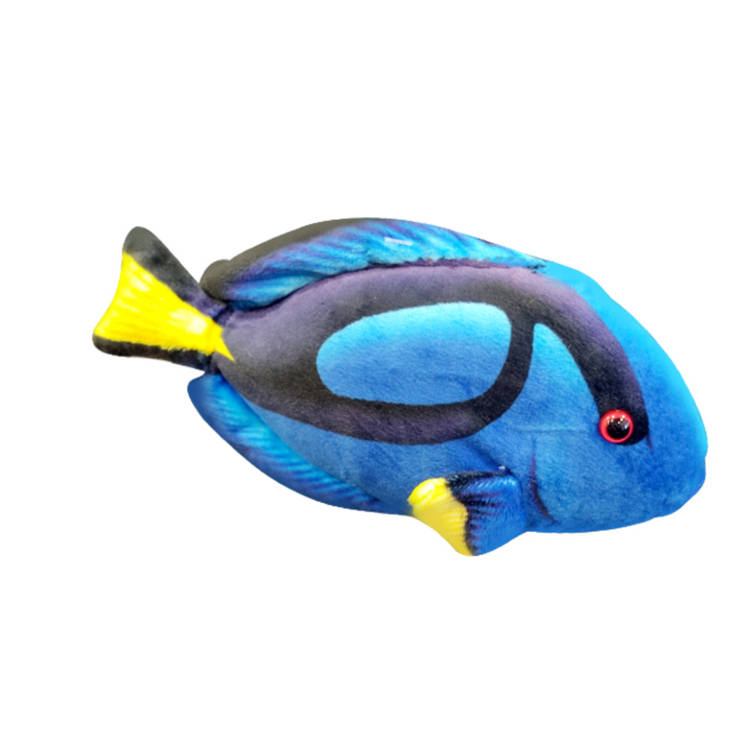 Coral Reef Surgeonfish - Soft Toy