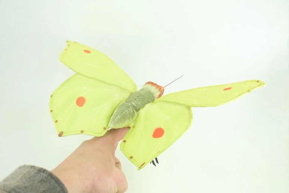 B/Fly Common Brimstone