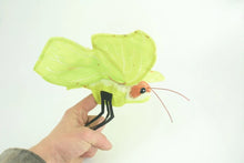 Load image into Gallery viewer, B/Fly Common Brimstone
