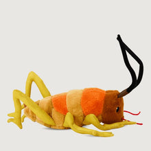 Load image into Gallery viewer, Wiremu the Weta Soft Toy
