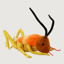 Load image into Gallery viewer, Wiremu the Weta Soft Toy
