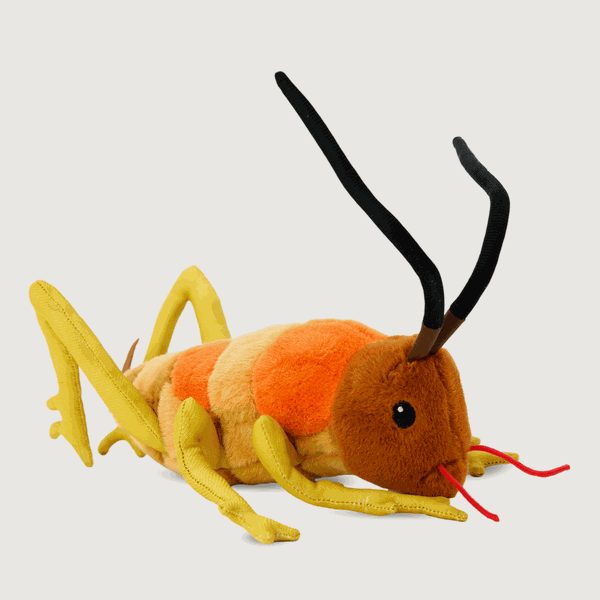 Wiremu the Weta Soft Toy