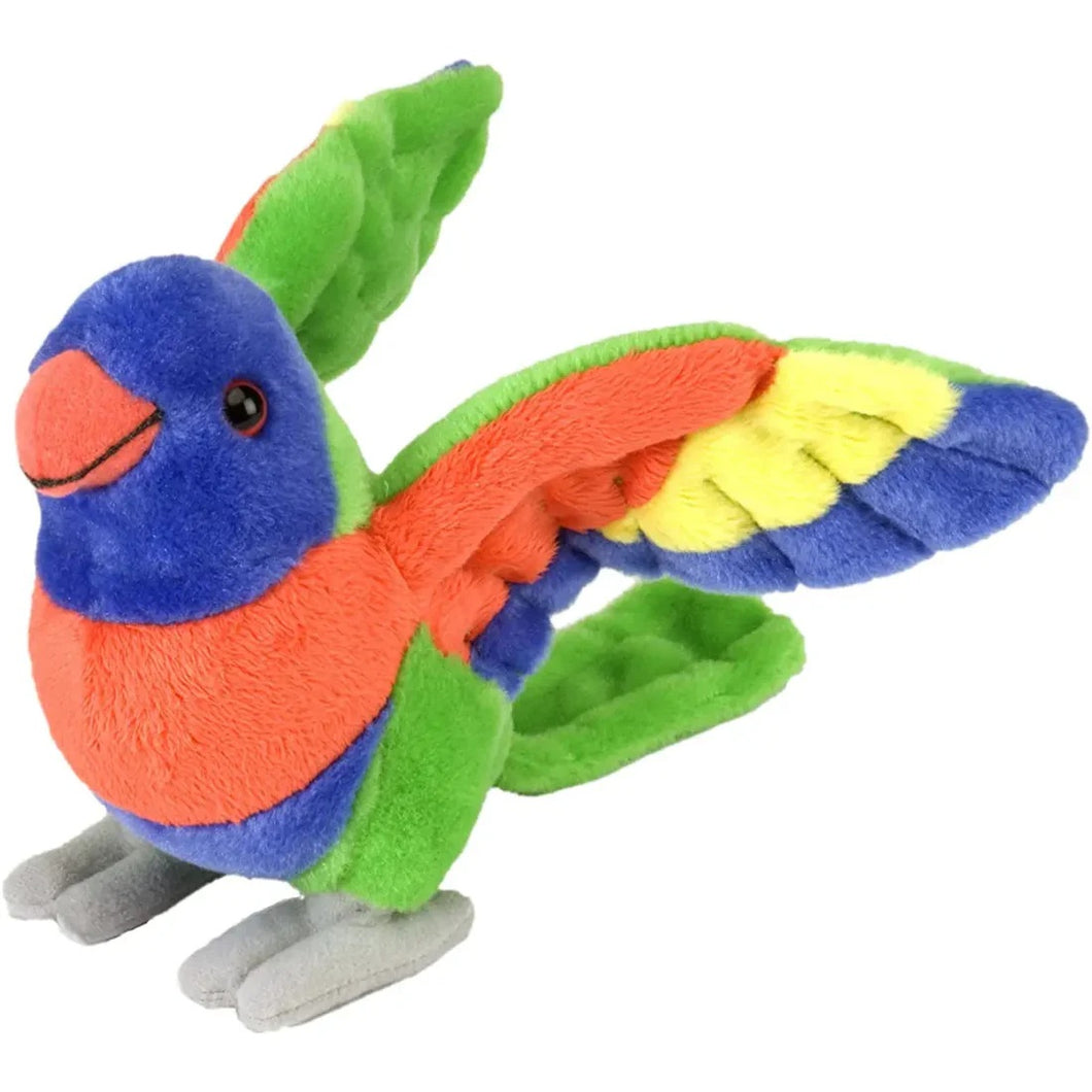 Mini Lorkeet