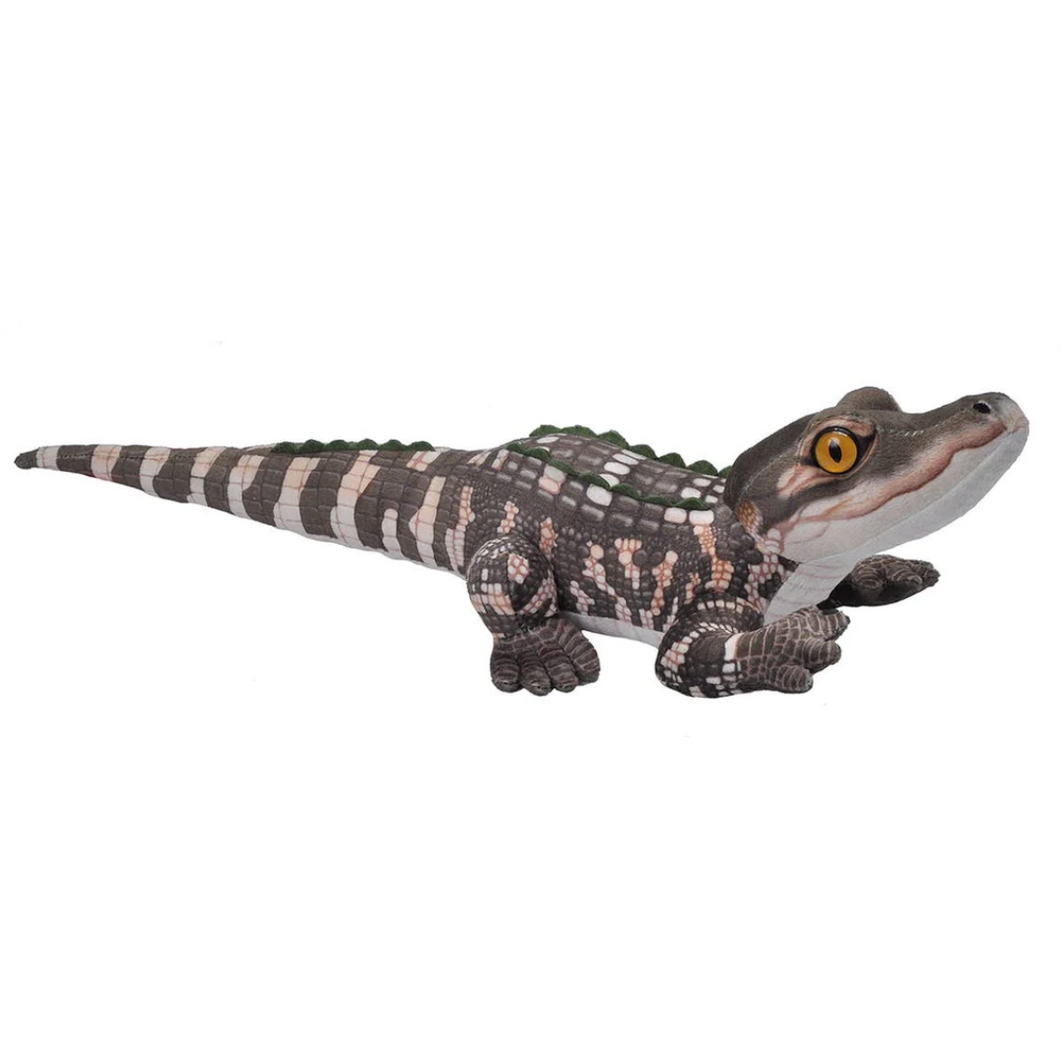 Baby Alligator Soft Toy
