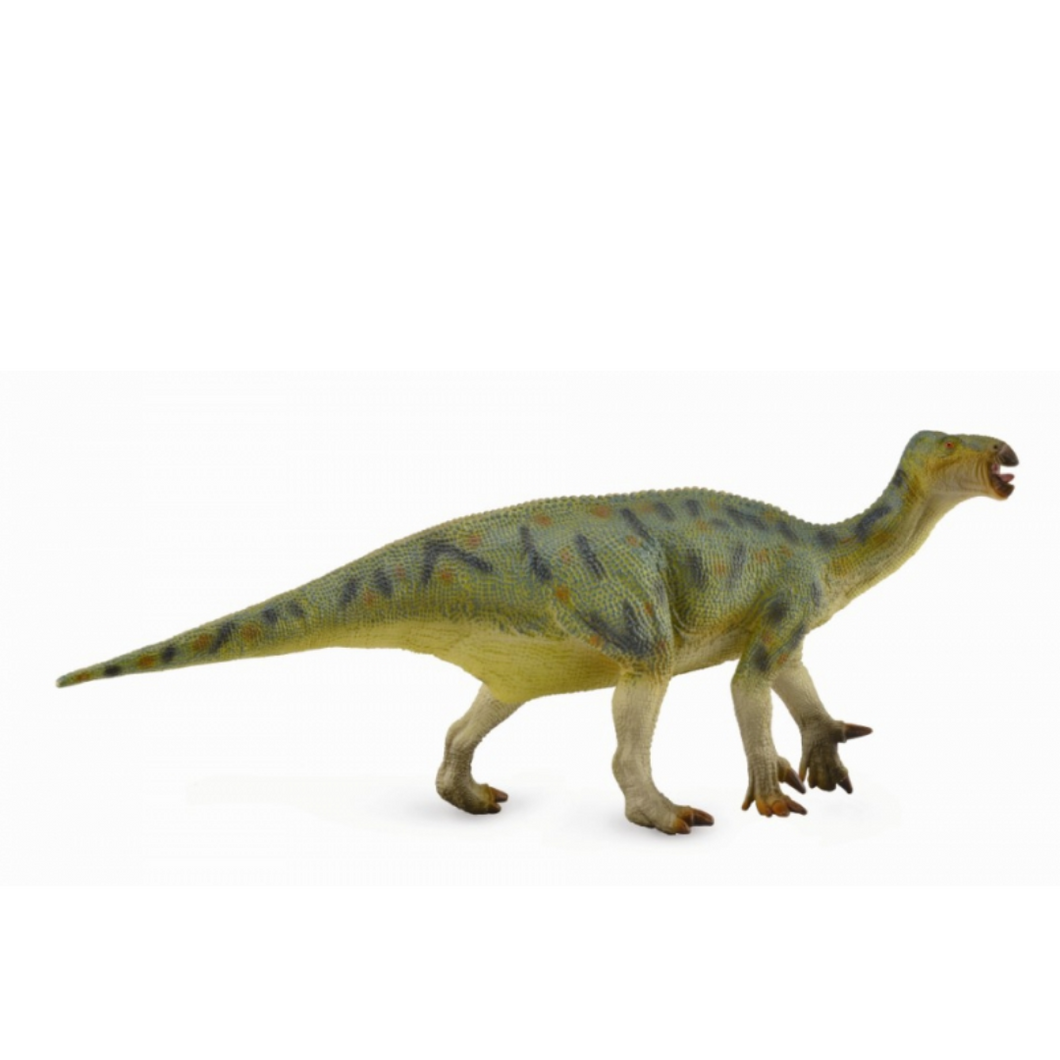 CollectA Iguanodon Dinosaur Figurine