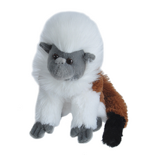 Load image into Gallery viewer, Cotton-top Tamarin Monkey Soft Toy
