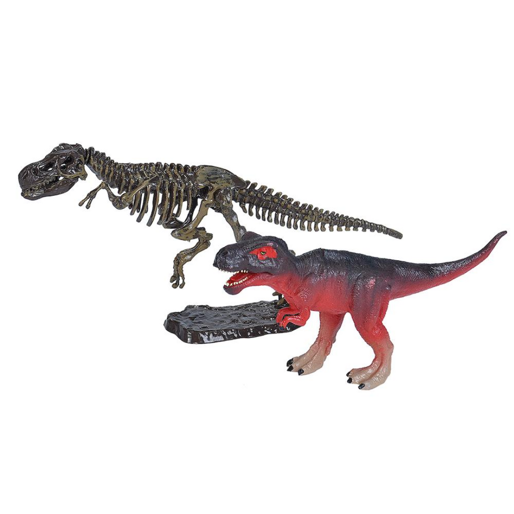 Dinosaur Skeleton Replica