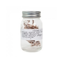 Load image into Gallery viewer, Dino Fossils in a Jar
