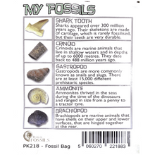 Load image into Gallery viewer, My Fossil Collection
